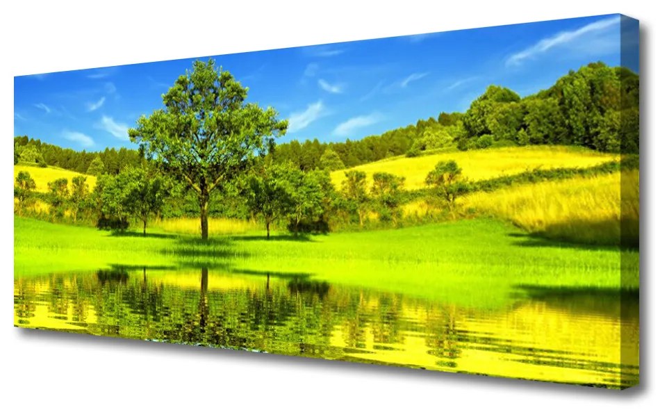 Tablou pe panza canvas Meadow copac Natura Verde Maro