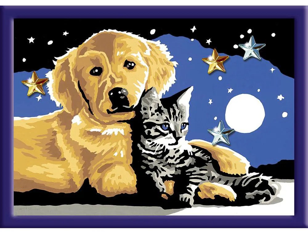 PICTURA PE NUMERE - CATEL SI PISICUTA - RAVENSBURGER (RVSPBN20045)