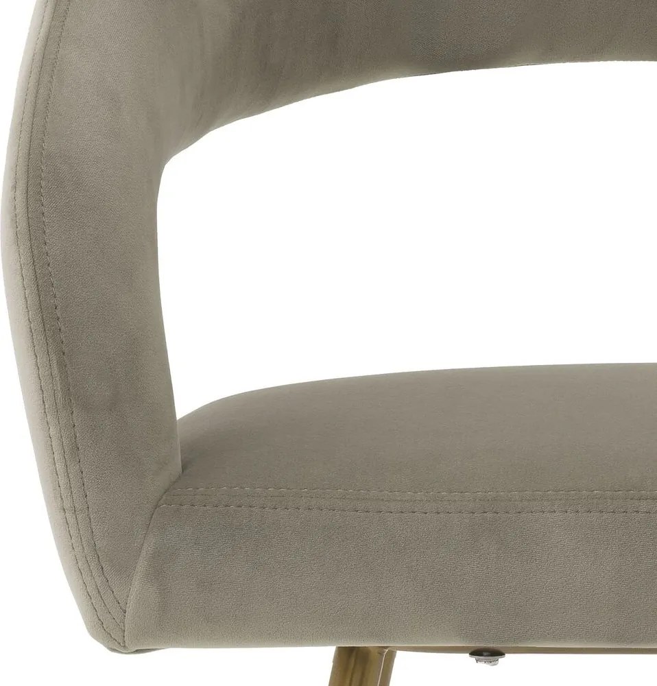 Scaun design elegant LUX Bravo, savona greige 116144 HZ