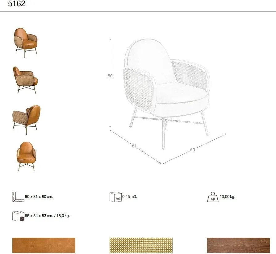 Fotoliu design LUX, Ratan, Piele Naturala 5162