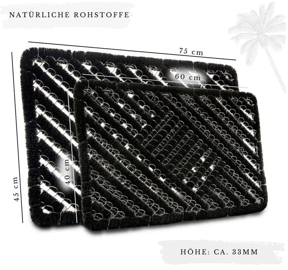 Covoraș de intrare din fibre de nucă de cocos 40x60 cm Coco Black – Hanse Home