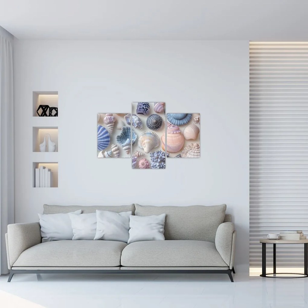 Tablou - Colecție de scoici (90x60 cm)