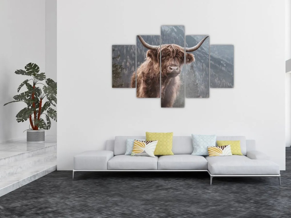 Tablou - Vaca Highlander (150x105 cm)
