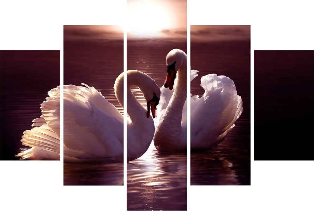 Tablou - Lebede pe lac (150x105 cm)