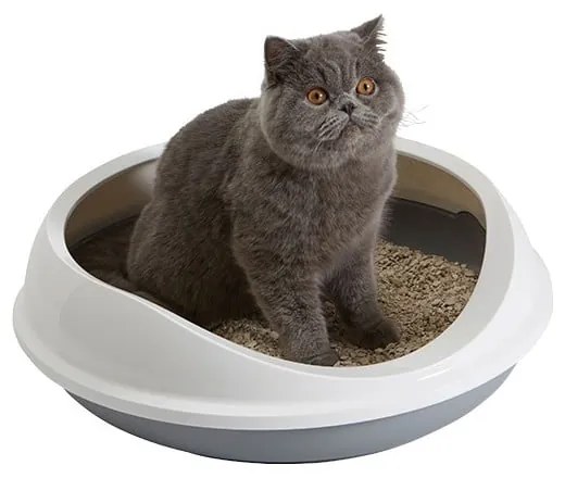 Litieră pentru pisici alb-gri 49x55 cm Savic Figaro – Plaček Pet Products