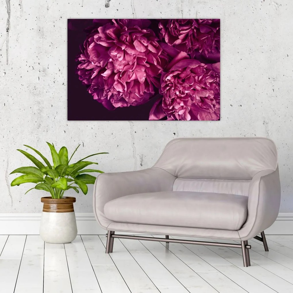 Tablou - Floarea bujorului (90x60 cm)