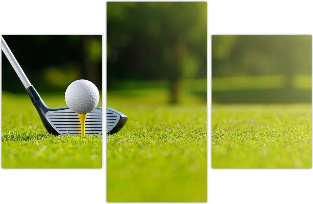 Tablou - Golf (90x60 cm)