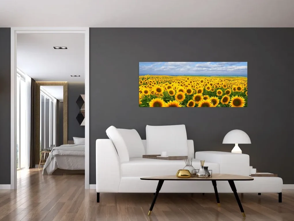 Tablou cu lan de floarea soarelui (120x50 cm)