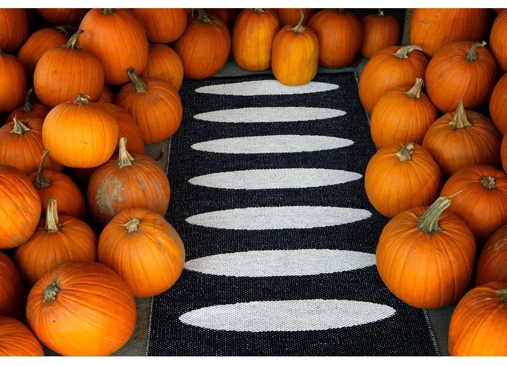 Covor tip traversă pentru interior și exterior negru 70x150 cm Ella Black – Pappelina