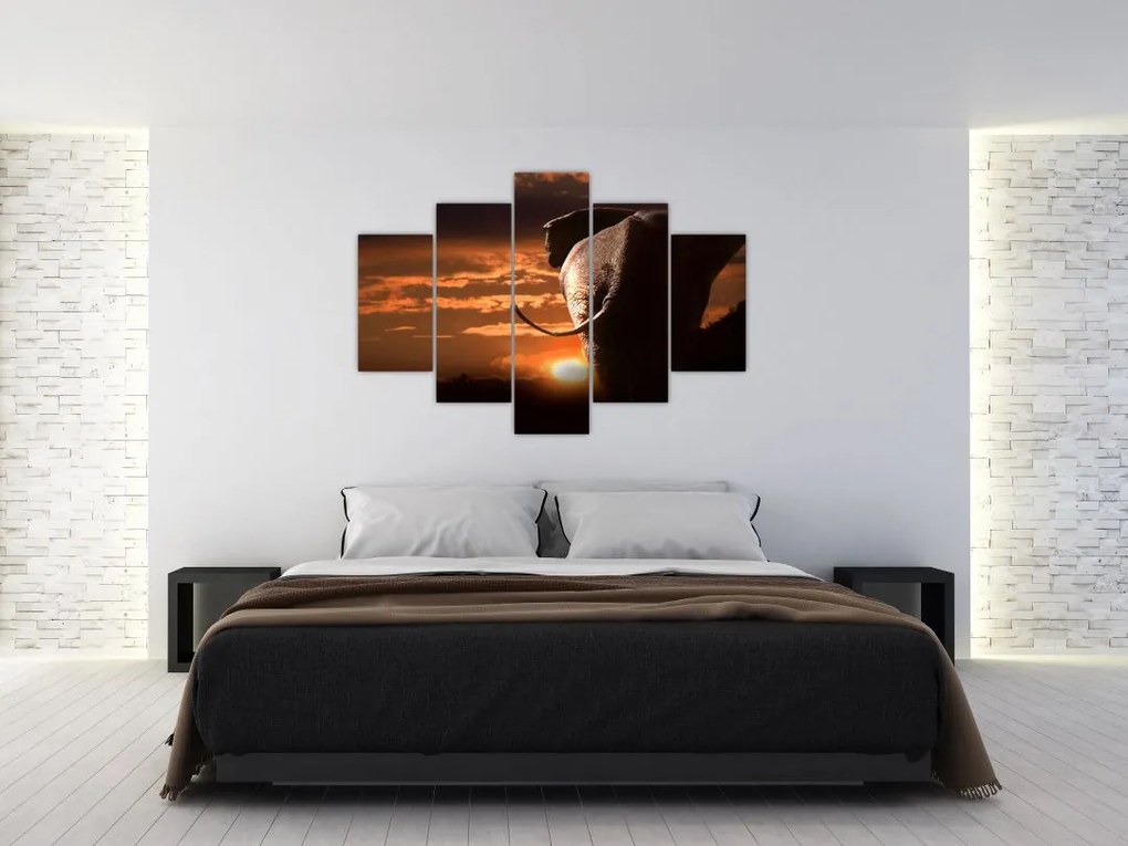 Tablou cu elefant (150x105 cm)