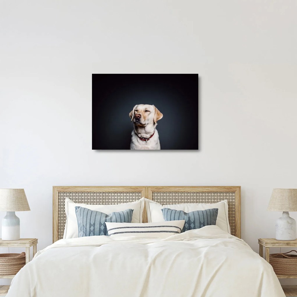 Tablou pe sticlă cu labrador (70x50 cm)