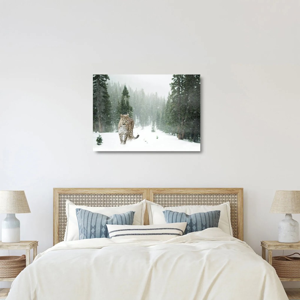 Tablou pe sticlă cu leopard în zăpadă (70x50 cm)