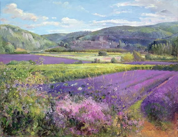 Reproducere Lavender Fields in Old Provence, Timothy Easton