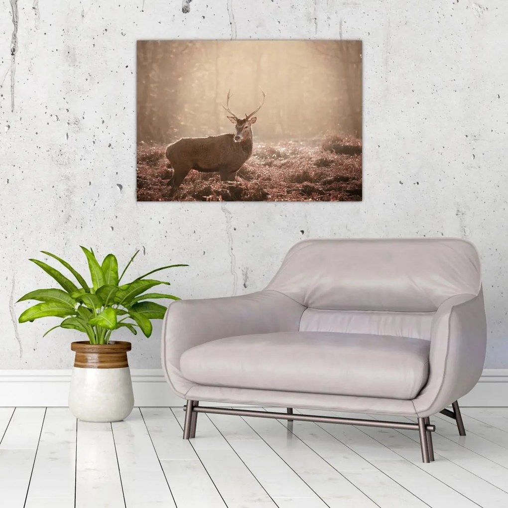 Tablou - Cerb în pădure (70x50 cm)