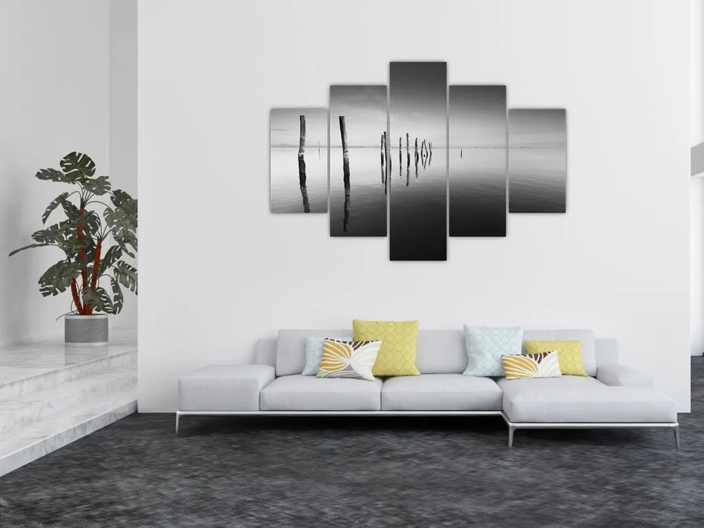 Tablou cu nivelul de lac alb negru (150x105 cm)