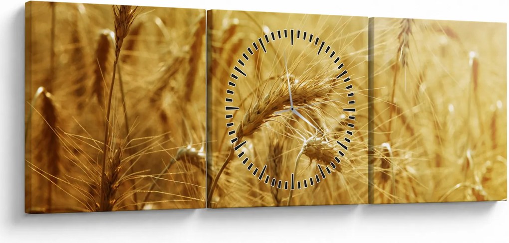 Tablou - Spice de cereale (cu ceas) (90x30 cm)