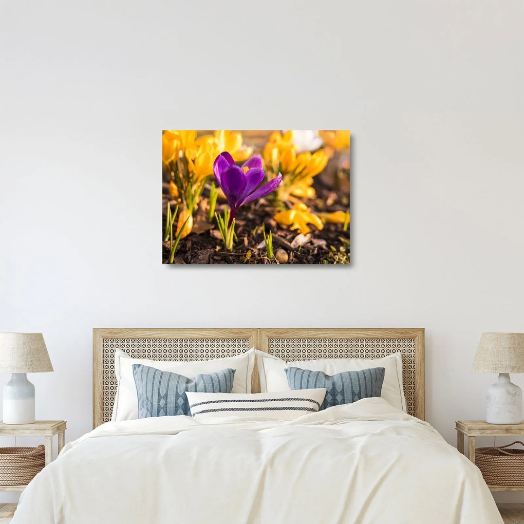 Tablou pe sticlă cu floare violetă (70x50 cm)