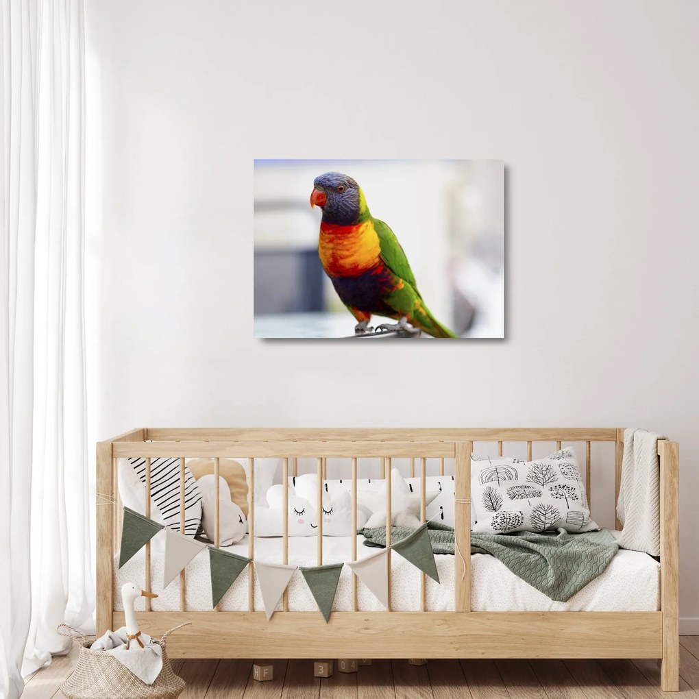 Tablou pe sticlă cu papagal (70x50 cm)