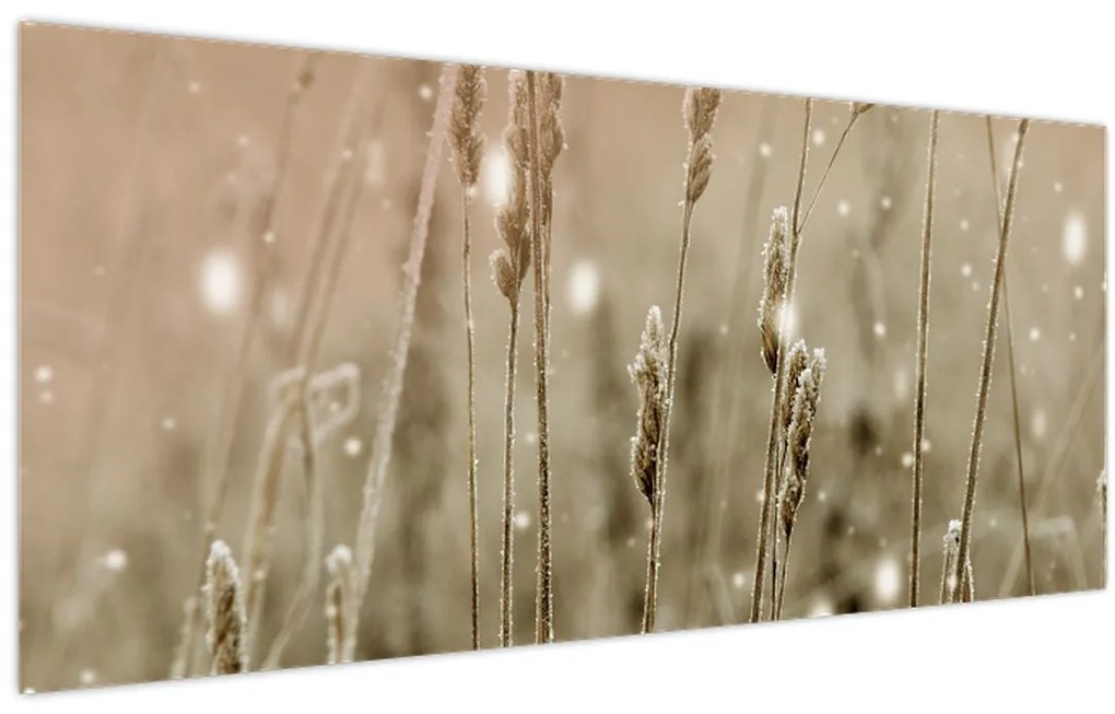 Tablou - Pajiște armonioasă (120x50 cm)