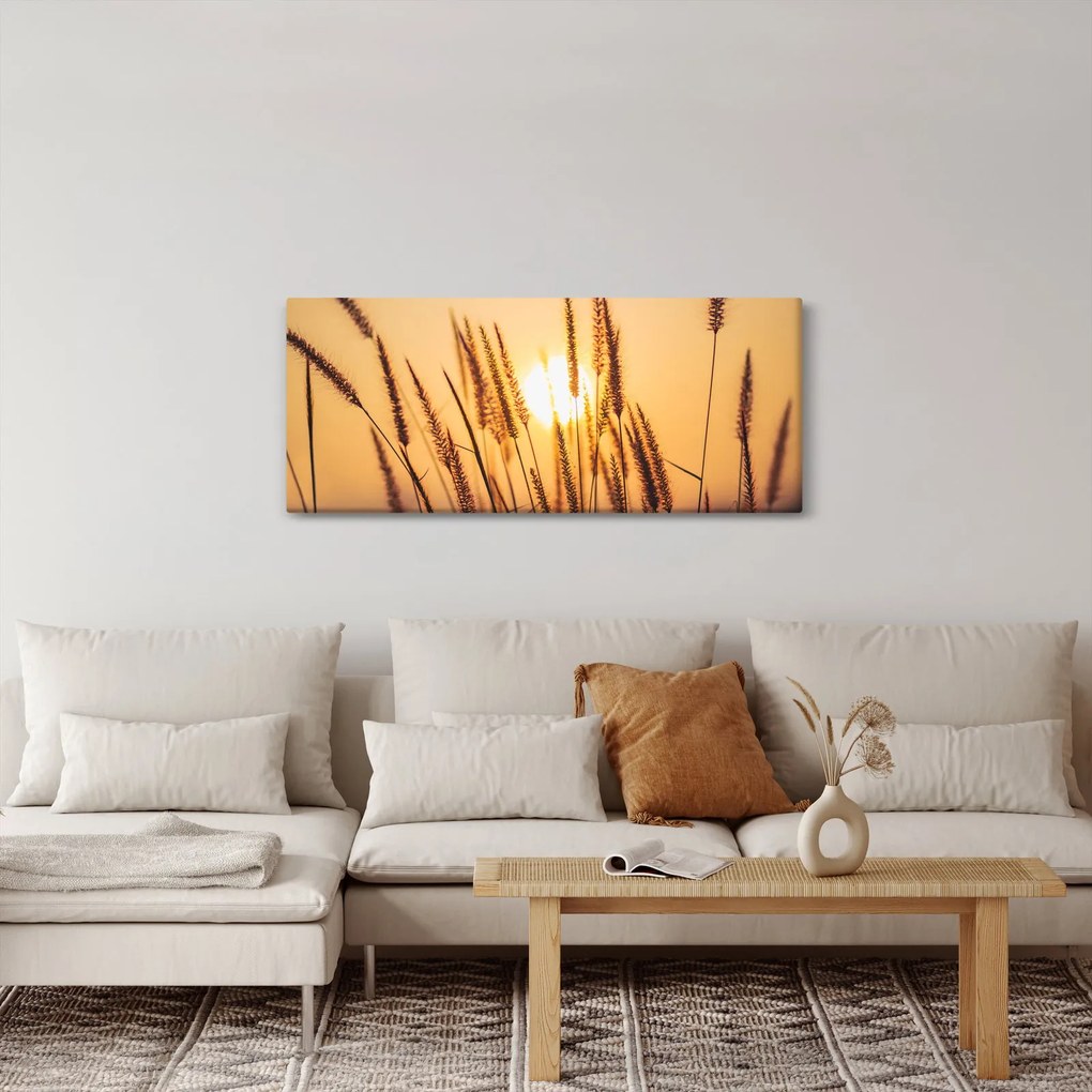 Tablou - Iarbă la soare (120x50 cm)