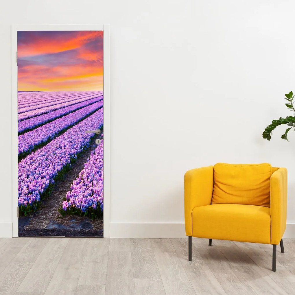 Fototapet pentru ușă - Fermă de flori (95x205cm)