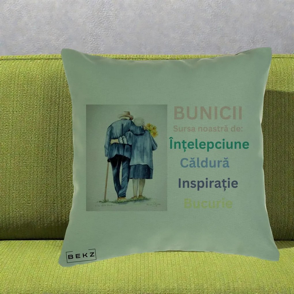 Cadou pentru Bunici - Perna Personalizata Bunicii Sursa Intelepciune Caldura Acuarela, 40x40 cm, Verde, Husa Detasabila, Perna Inclusa, BEKZ®