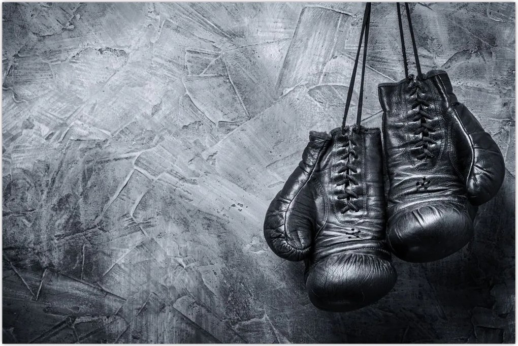 Tablou - Mănuși de box (90x60 cm)