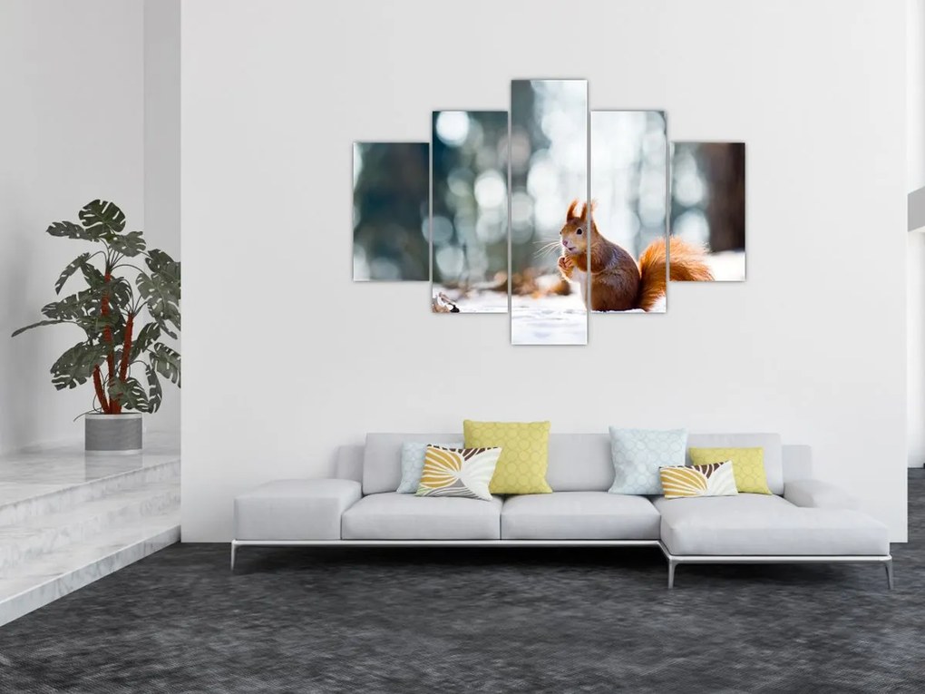Tablou - Veveriță (150x105 cm)