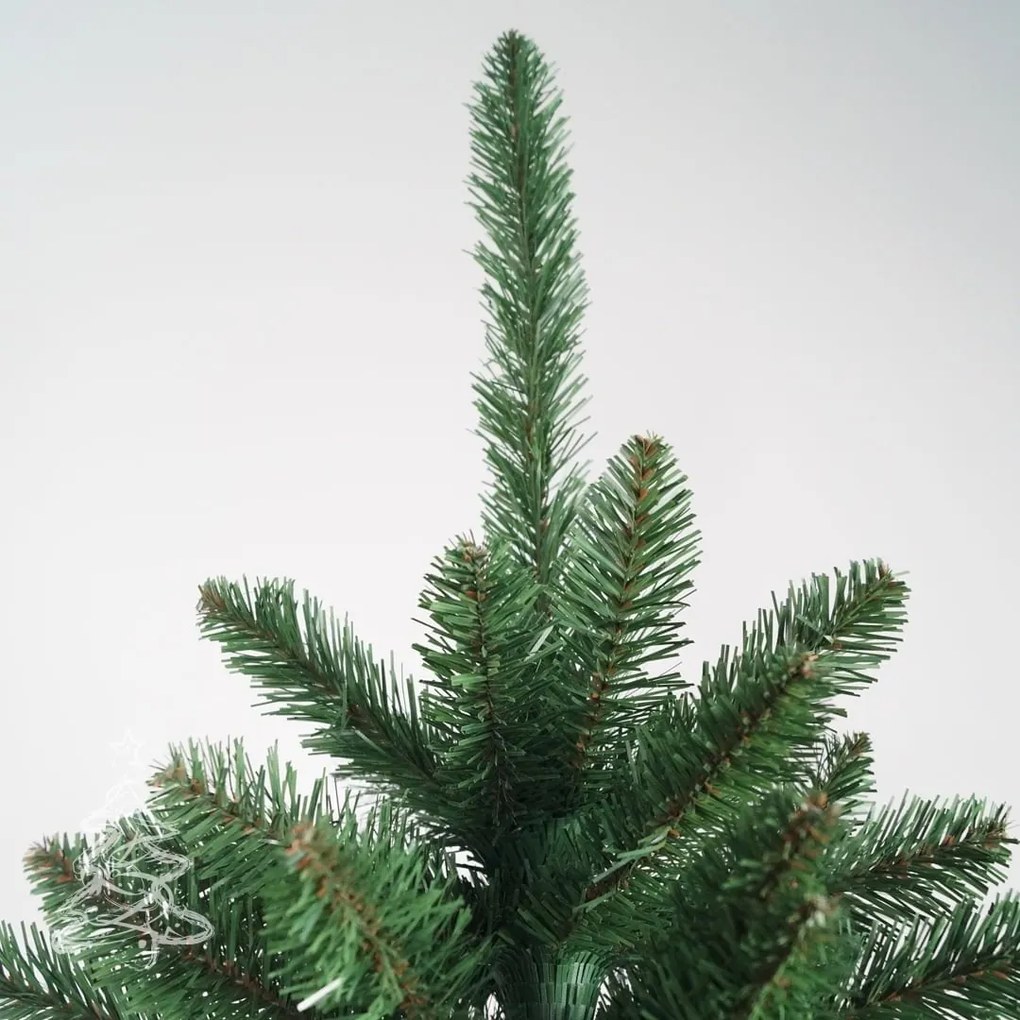 Molid Canadian 2D 220 cm