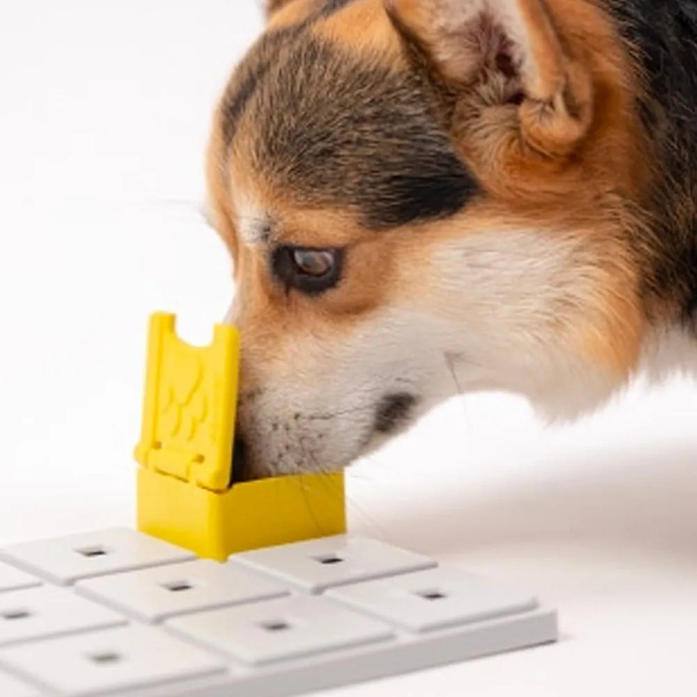 Puzzle pentru câini Base – Pawzler