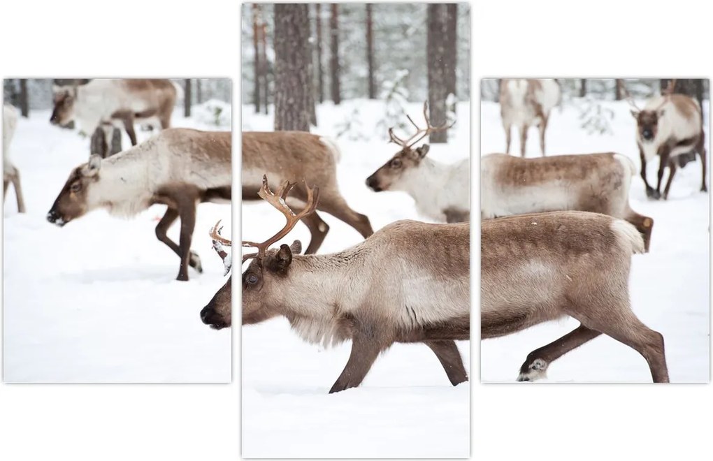 Tablou - Renul (90x60 cm)