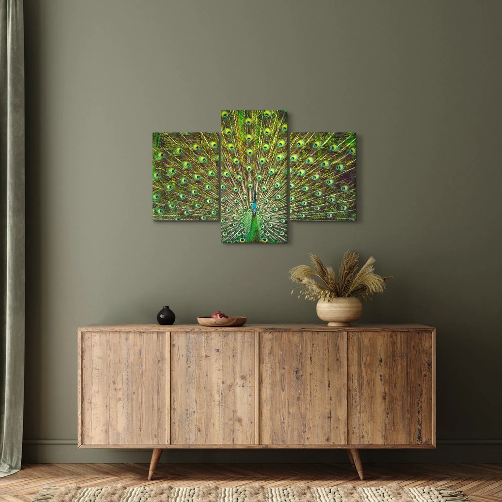 Tablou - Peacock (90x60 cm)
