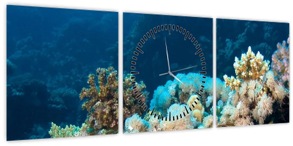 Tablou - în ocean (cu ceas) (90x30 cm)