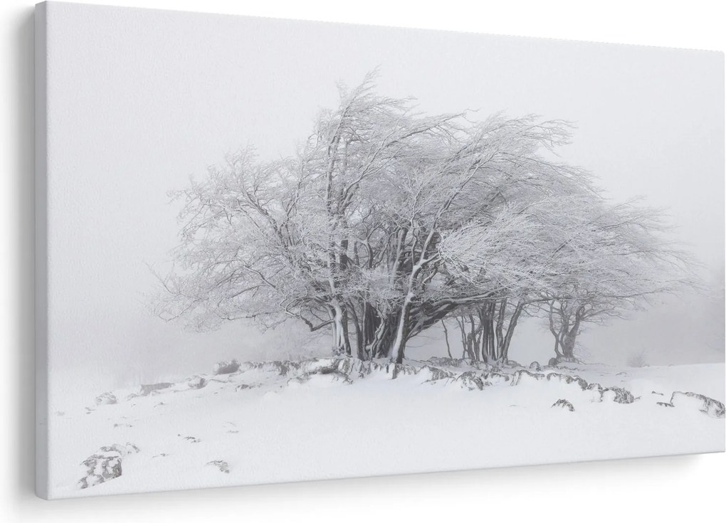 Tablou - Iarnă albă (90x60 cm)