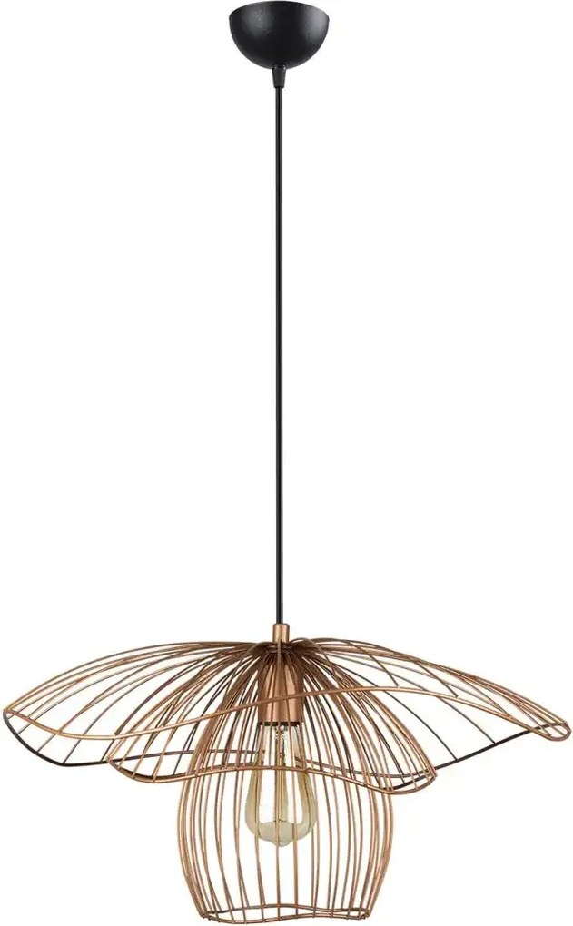 Lustra  auriu homs ro11219