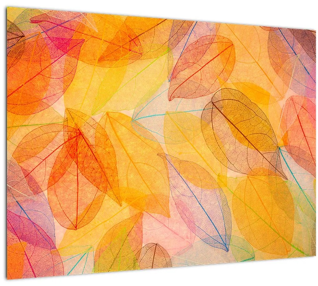 Tablou pe sticlă - Fundal frunze de toamnă (70x50 cm)