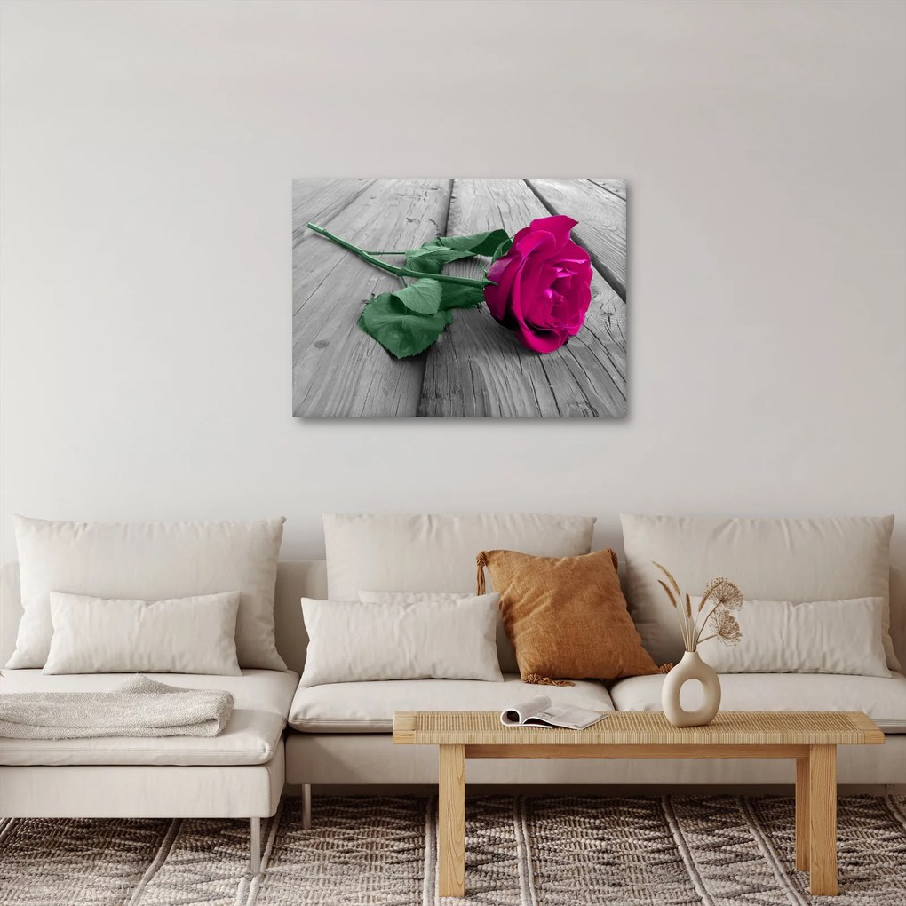 Tablou - Trandafir roz cu tulpina verde (70x50 cm)