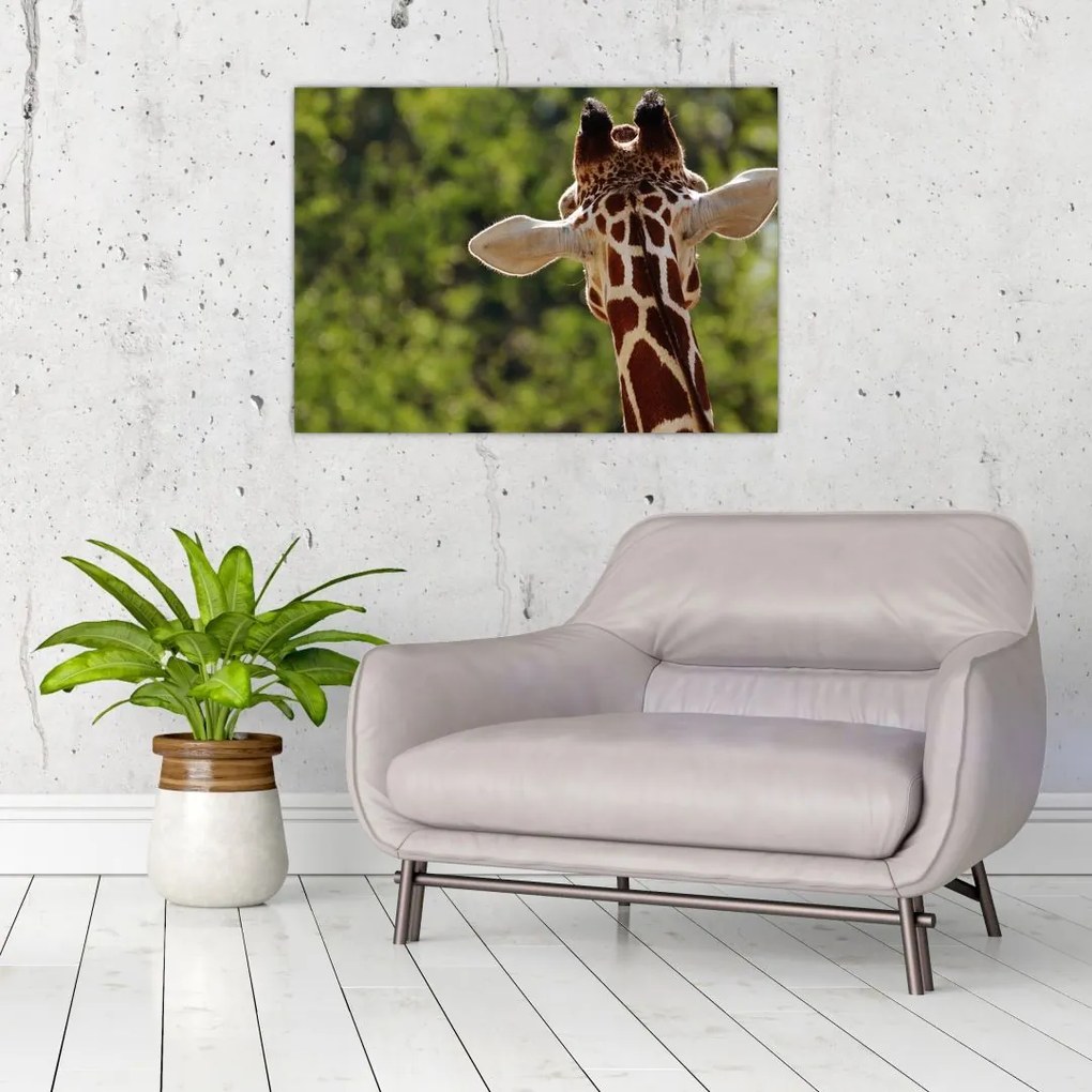 Tablou pe sticlă cu girafă din spate (70x50 cm)