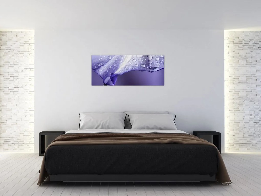 Tablou - Petală cu picături (120x50 cm)