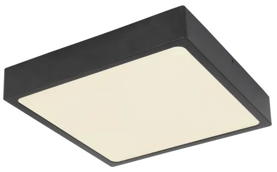 Globo 12369-22 - Plafonieră LED ECHO LED/22W/230V