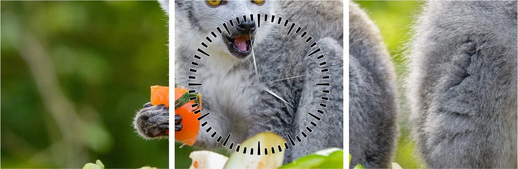 Tablou cu lemur (cu ceas) (90x30 cm)
