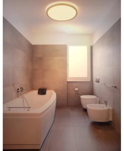 Plafonieră LED dimabilă pentru baie Globo 41562-24MM SAPANA LED/24W/230V IP44