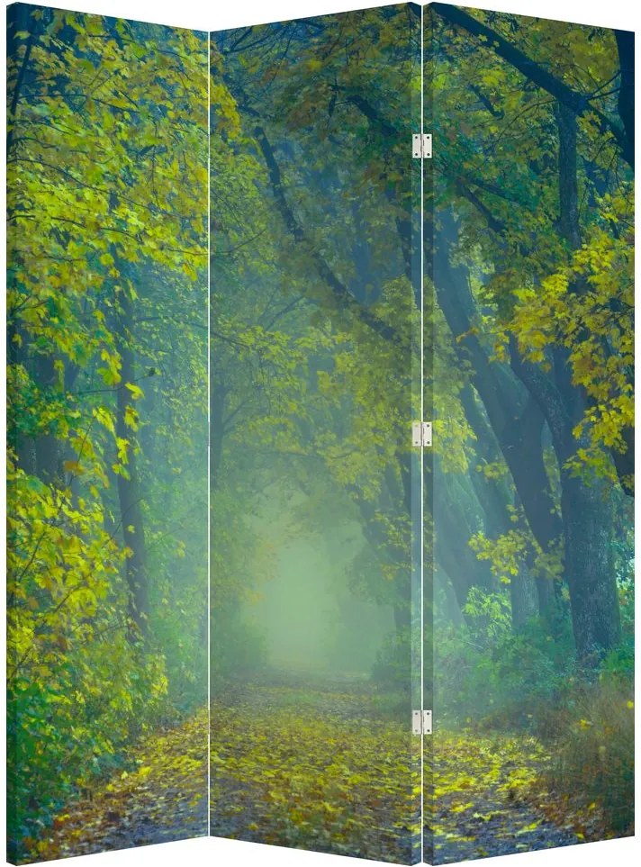 Paravan - Drum dea lungul cu copaci (126x170 cm)