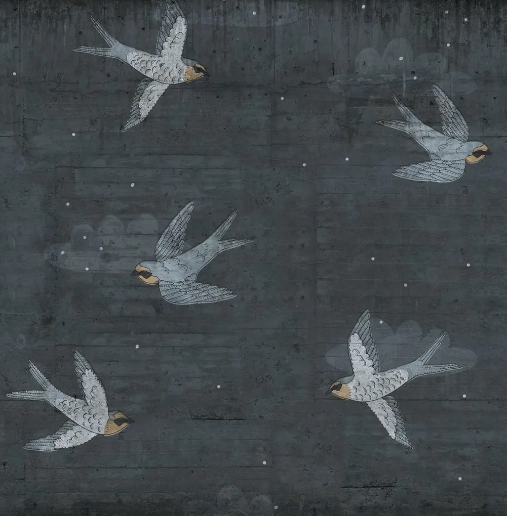 Fototapet, Concrete Art, Night Swallow, Rebel Walls