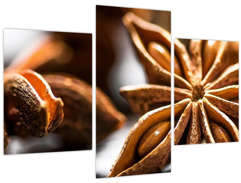 Tablou - Anason (90x60 cm)