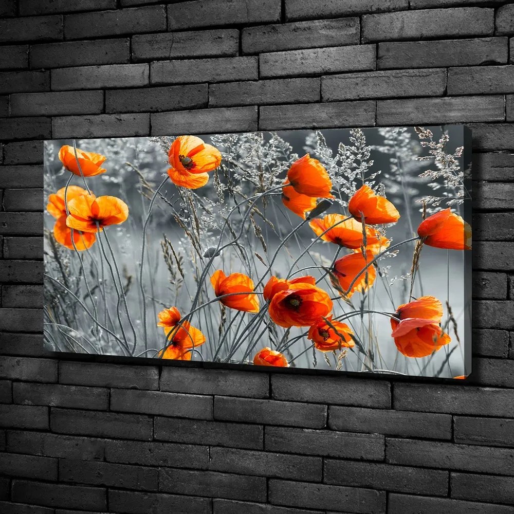 Tablouri tipărite pe pânză Wildflowers maci