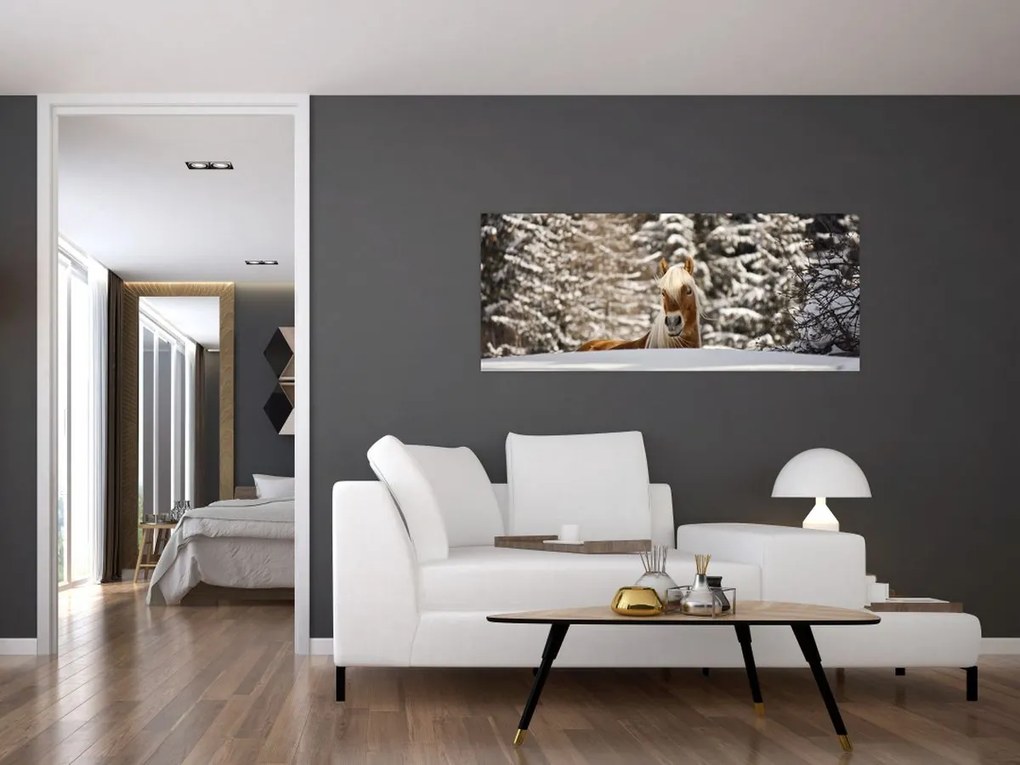 Tablou - Cal în peisaj de iarnă (120x50 cm)