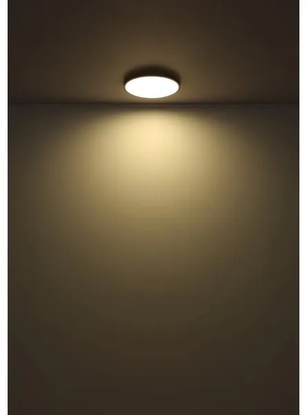 Plafonieră LED Globo 41566-32S NIELSEN LED/32W/230V d. 40 cm negru