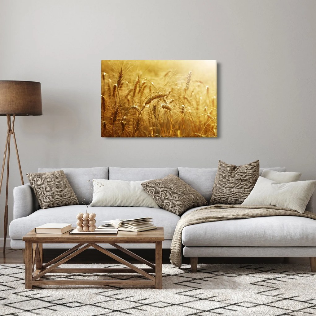 Tablou - Spice de cereale (90x60 cm)