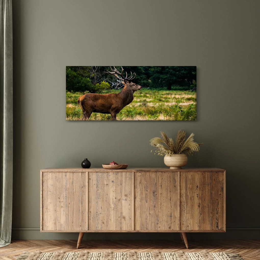 Tablou cu cerb (120x50 cm)